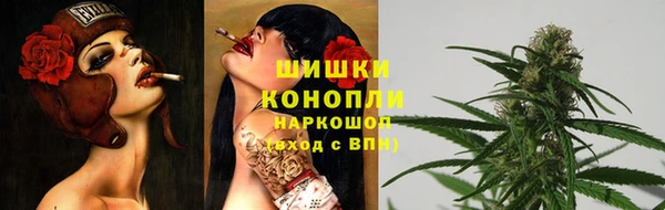 прущий лед Инсар