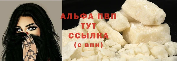 прущий лед Инсар