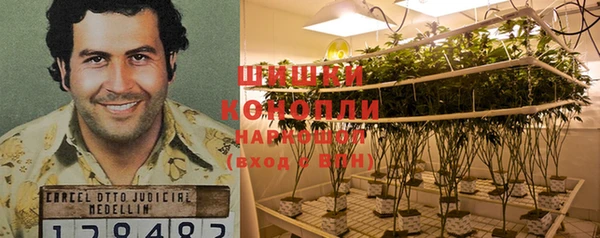 MESCALINE Иннополис