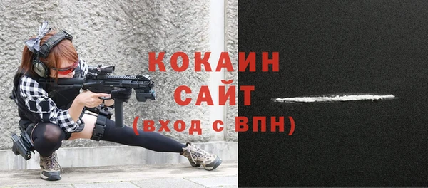 стафф Инта