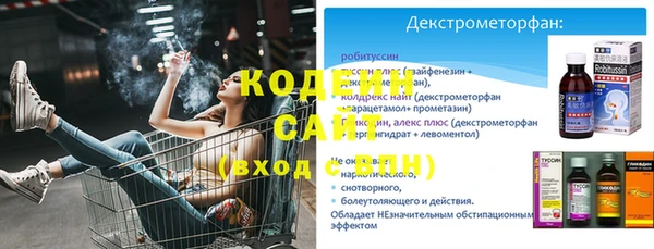 прущий лед Инсар