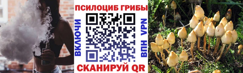 Галлюциногенные грибы GOLDEN TEACHER  Купить  Шарыпово 