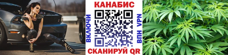 Купить где  Шарыпово  МАРИХУАНА сатива 